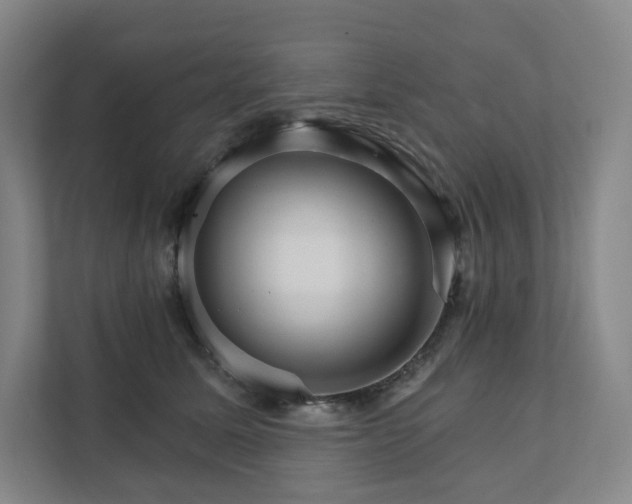 X0000111930611200908031119