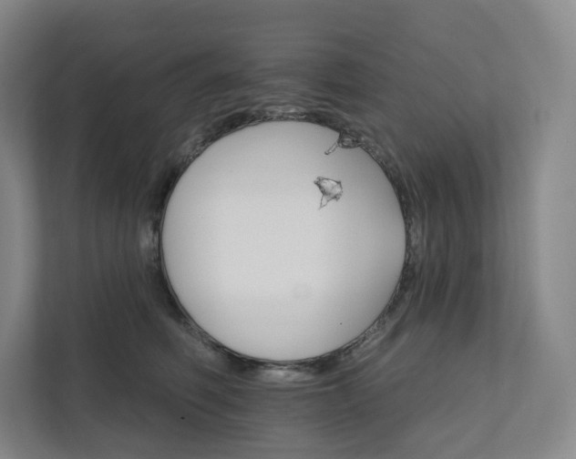 X0000111930614200908031119