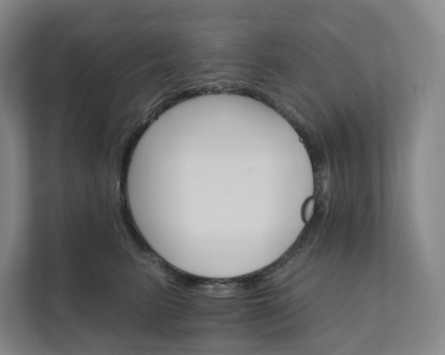 X0000111930615200908031119