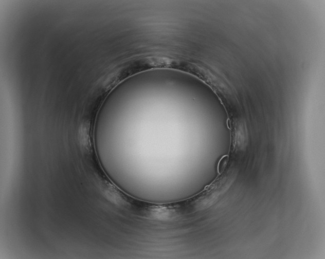 X0000111930616200908031119