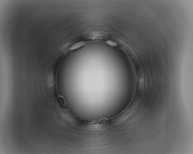 X0000111930620200908031119