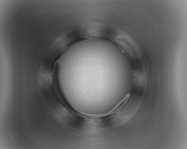 X0000111930621200908031119