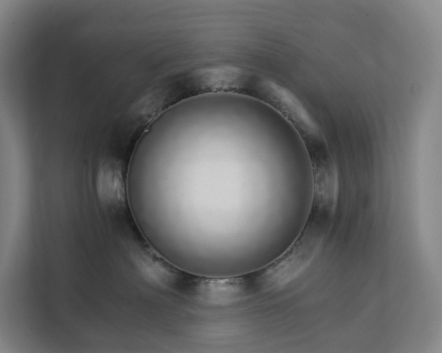 X0000111930622200908031119