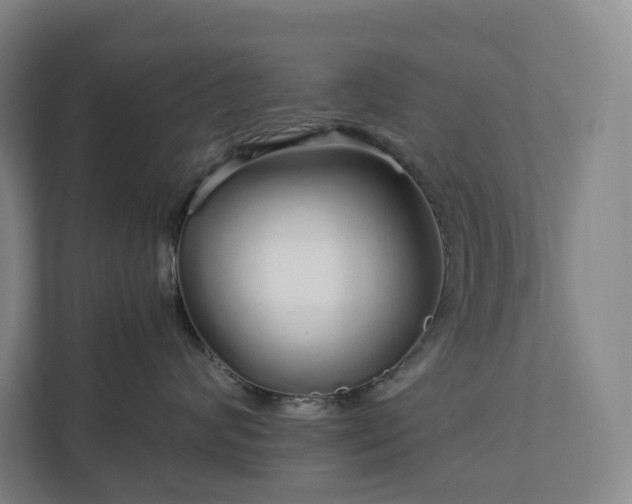 X0000111930624200908031119