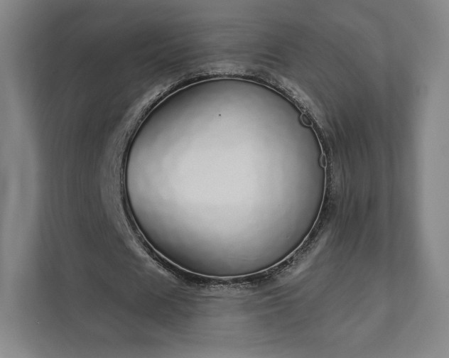 X0000111930625200908031118