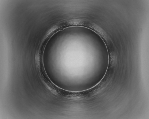 X0000111930626200908031118