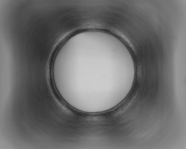 X0000111930629200908031119