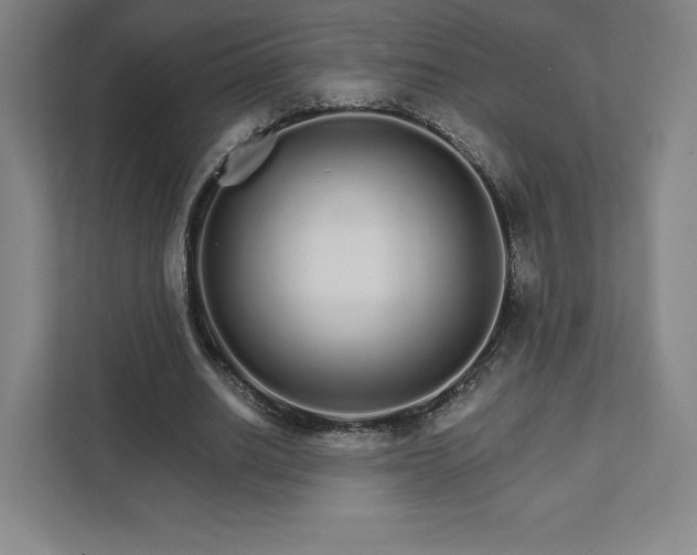 X0000111930630200908031119