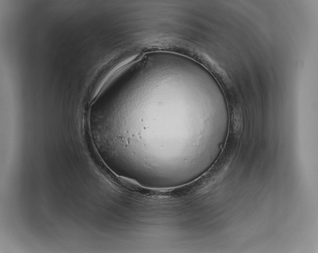 X0000111930637200908031119