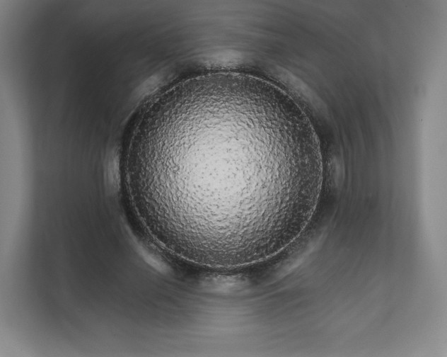 X0000111930638200908031119