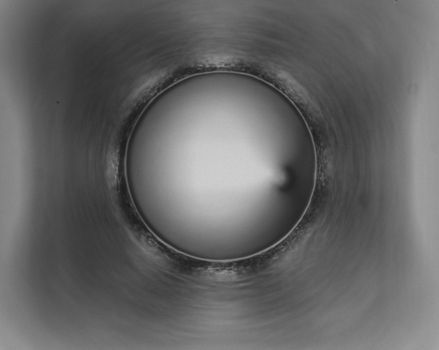 X0000111930640200908031119