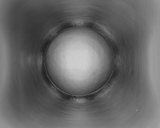 X0000111930645200908031119