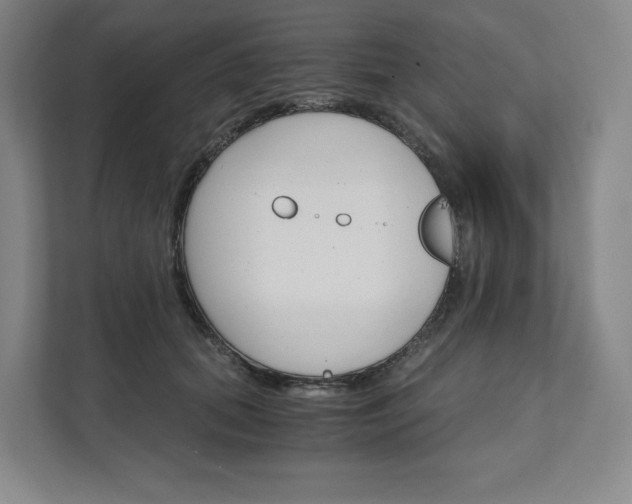 X0000111930655200908031119