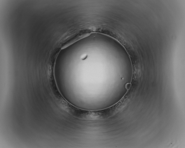 X0000111930656200908031119