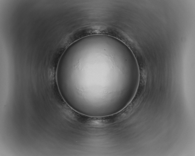 X0000111930657200908031119