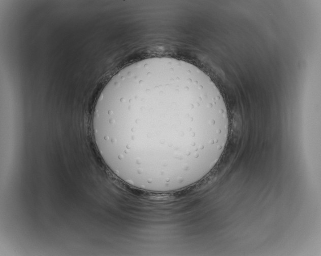 X0000111930659200908031119