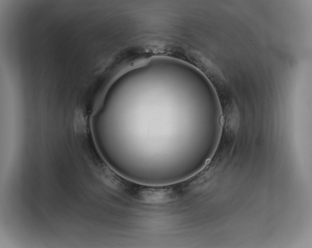 X0000111930661200908031119