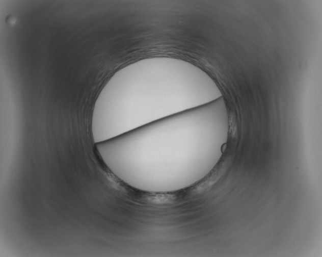 X0000111930670200908031119