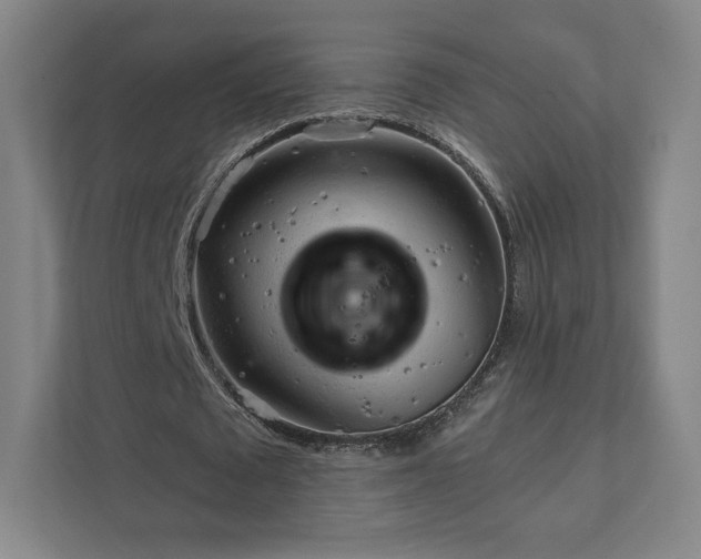 X0000111930673200908031118