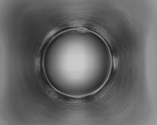 X0000111930675200908031118