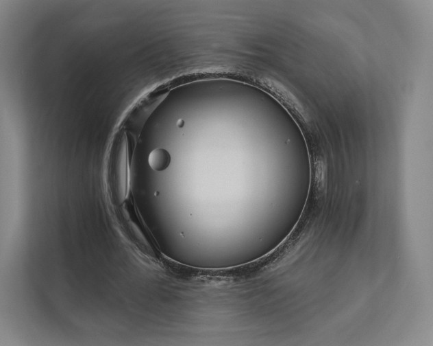 X0000111930676200908031118