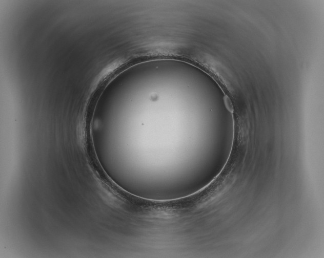 X0000111930677200908031118