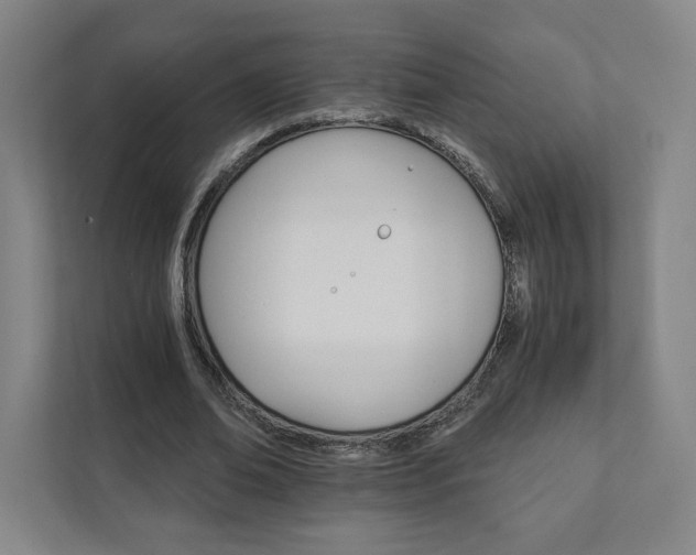 X0000111930678200908031118