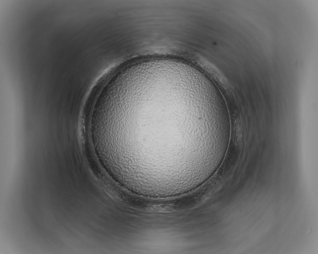 X0000111930680200908031118