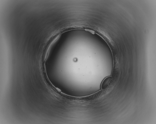 X0000111930681200908031118