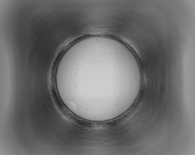 X0000111930682200908031118