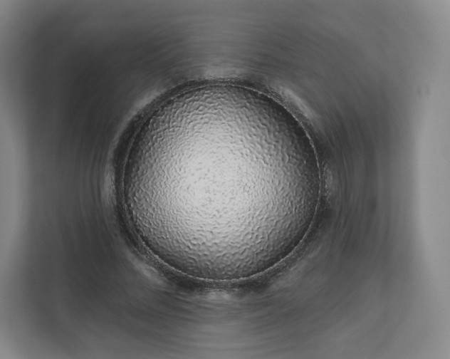 X0000111930684200908031118