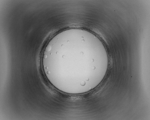 X0000111930686200908031118