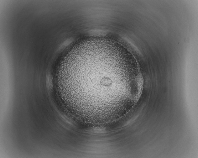 X0000111930692200908031118