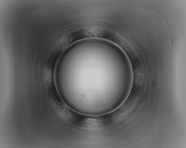 X0000111930699200908031118