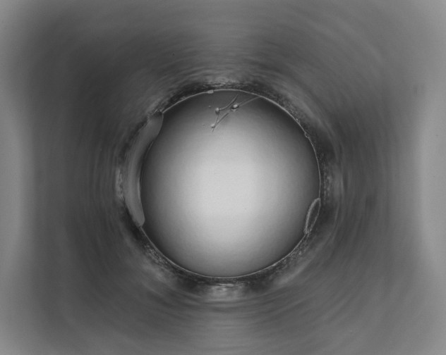 X0000111930700200908031118