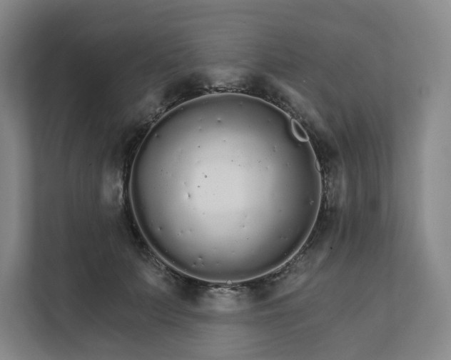 X0000111930703200908031118