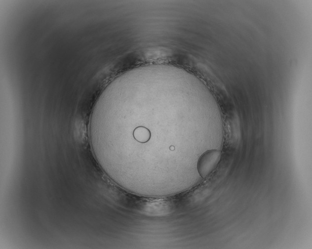 X0000111930705200908031118