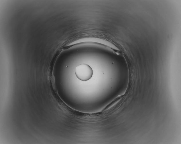 X0000111930708200908031118