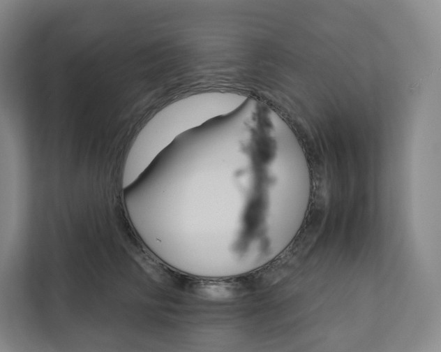 X0000111930710200908031118