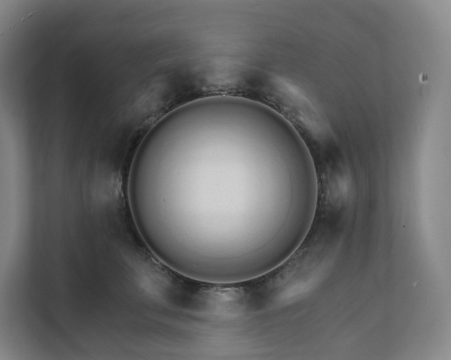 X0000111930711200908031118