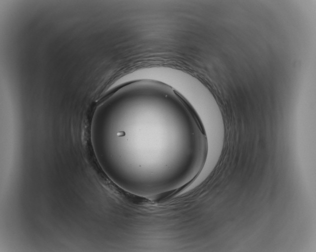 X0000111930712200908031118