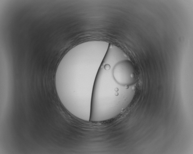 X0000111930715200908031118