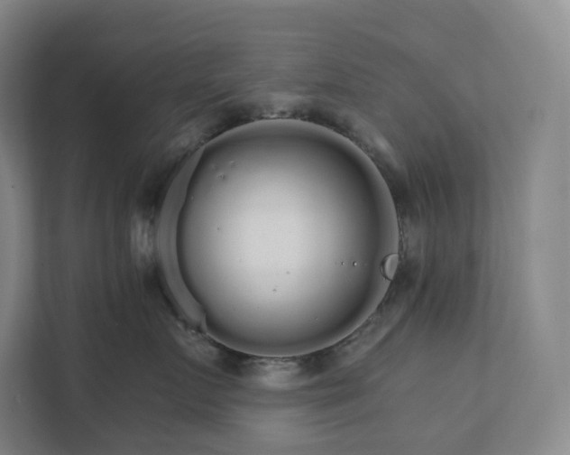 X0000111930719200908031118