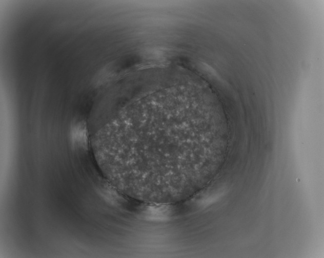 X0000111930720200908031118