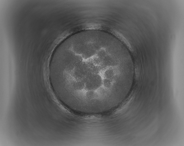 X0000111930721200908031117