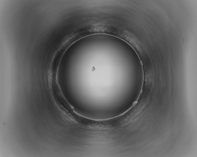 X0000111930722200908031117