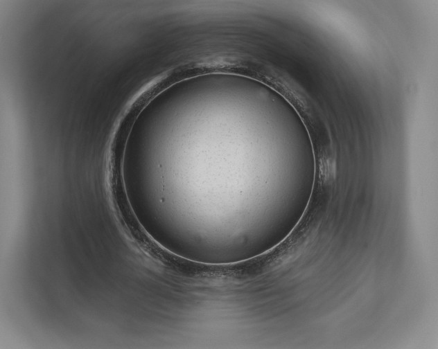 X0000111930724200908031117