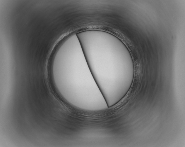 X0000111930727200908031117