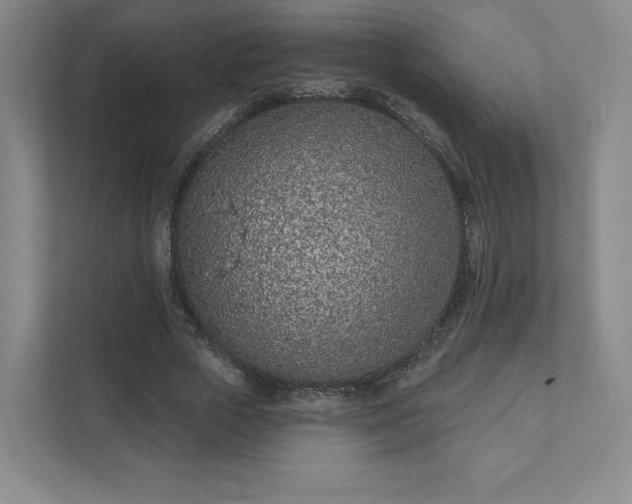 X0000111930729200908031117