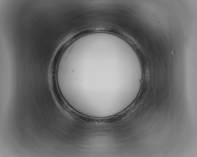 X0000111930730200908031117